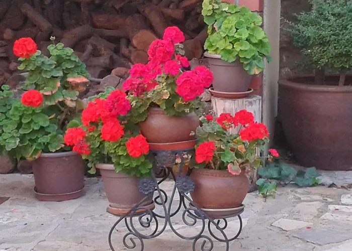 Country house La De Clotilde